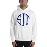 Stereotype Blue (Logo) Hoodie - StereoTypeTees