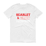 Scarlet & Gray - StereoTypeTees
