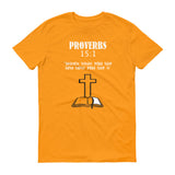 Proverbs 15:1 - StereoTypeTees