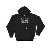 Acts 2:38 The Formula (Hoodie) - StereoTypeTees