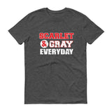 Scarlet & Gray - StereoTypeTees
