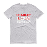 Scarlet & Gray - StereoTypeTees